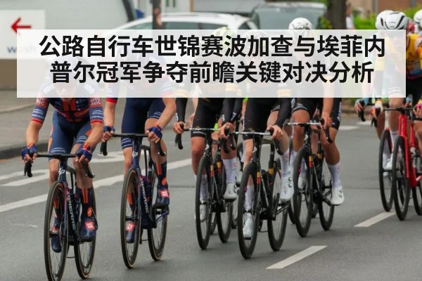 professional road cycling race
