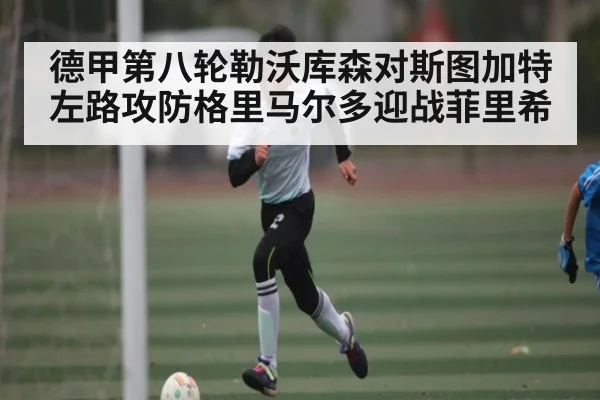 德甲第八轮勒沃库森对斯图加特左路攻防格里马尔多迎战菲里希